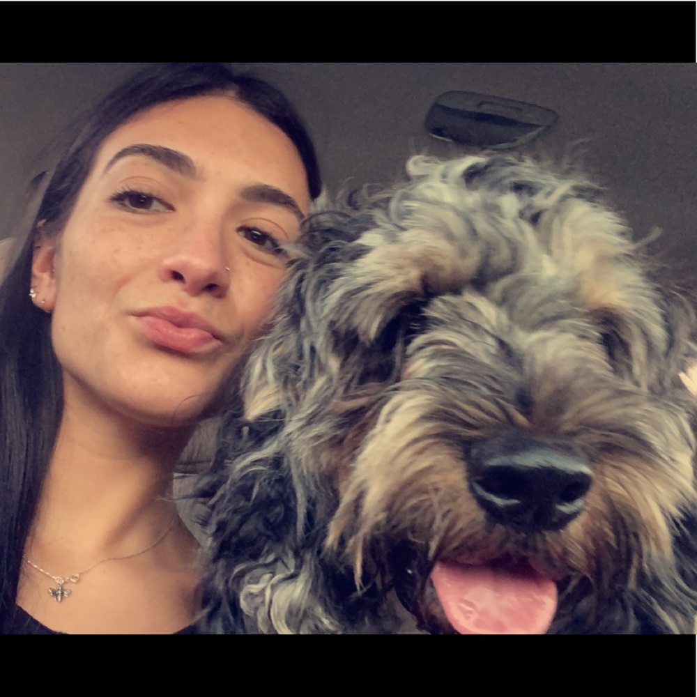 Meet your Posher, Phoebe